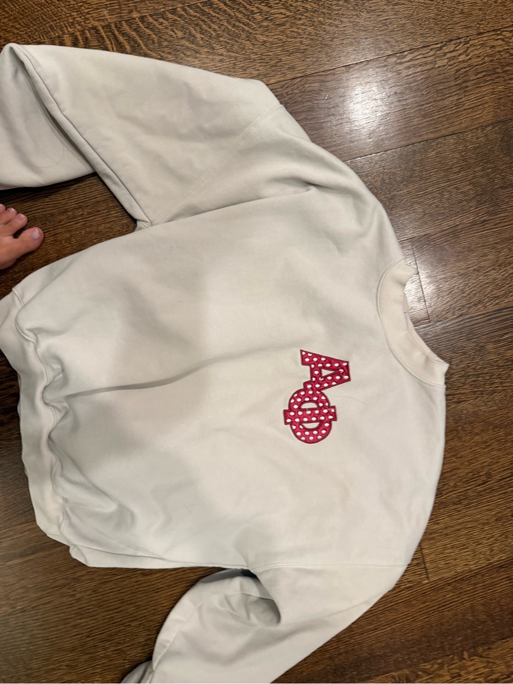 2 alpha phi hoodies